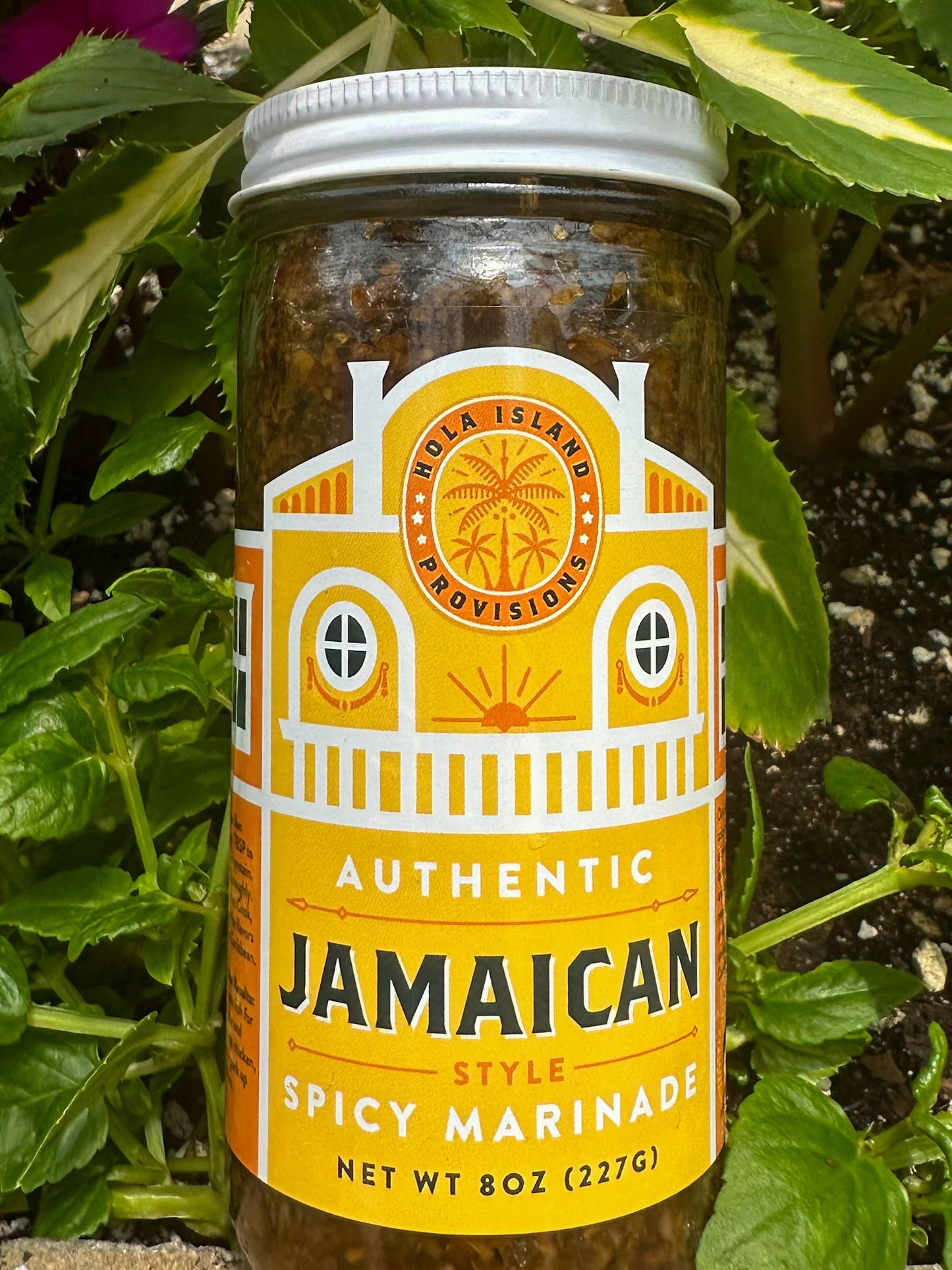 Jamaican Hot Marinade